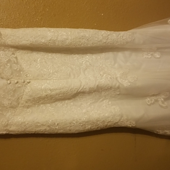 Wedding Dress and veil - Picture 8 of 10